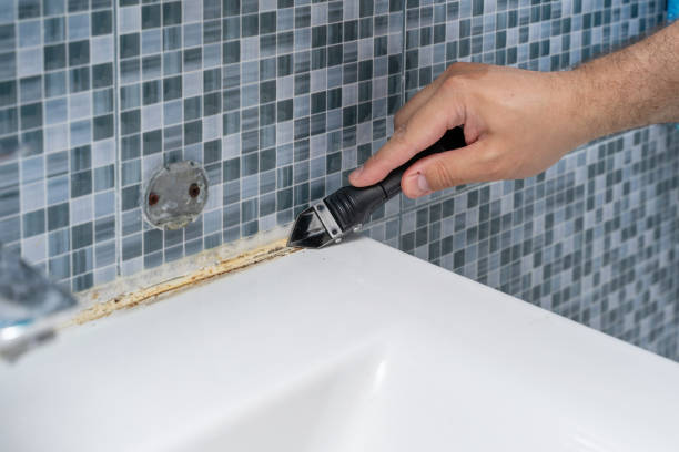 Best Localized Mold Remediation (e.g., coastal areas, humid climates) in Dresden, OH