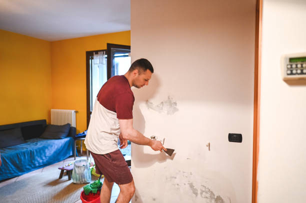 Best Insurance-Related Mold Remediation in Dresden, OH